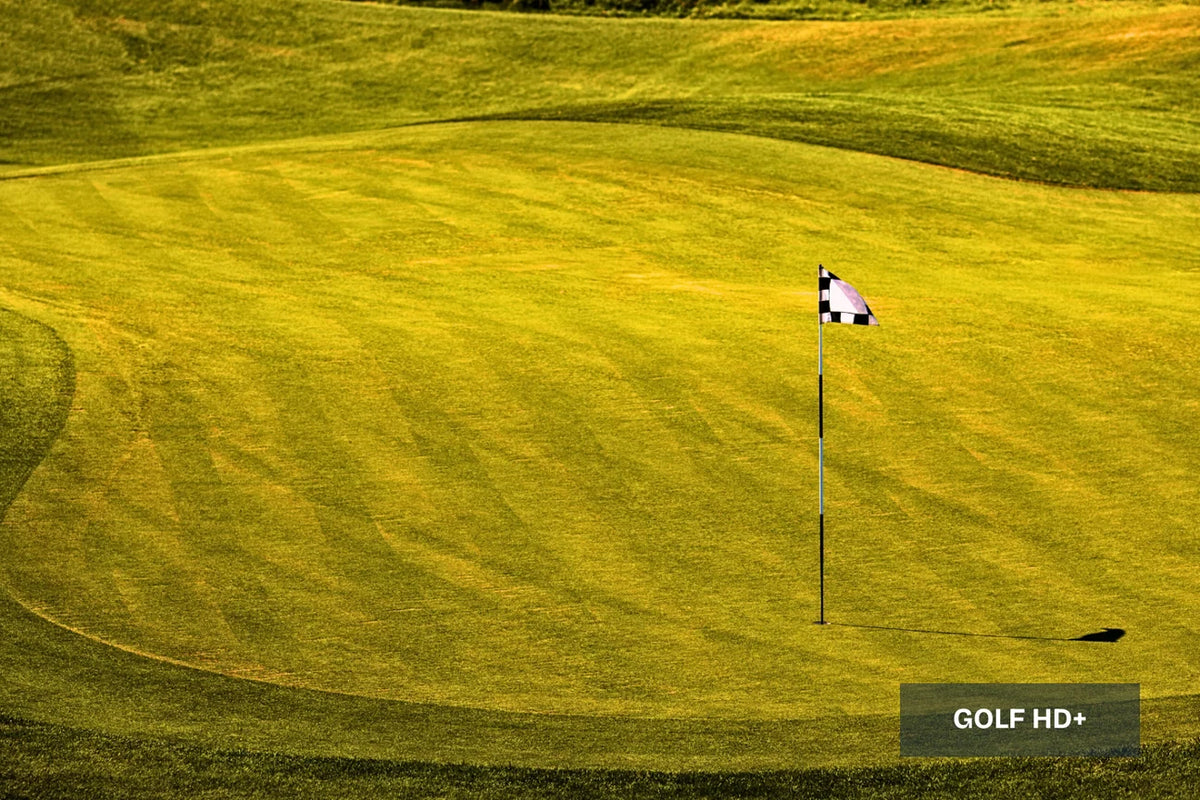 A scenic view of a golf green with a checkered flag on a flagstick, surrounded by neatly manicured yellow-green grass under bright sunlight.