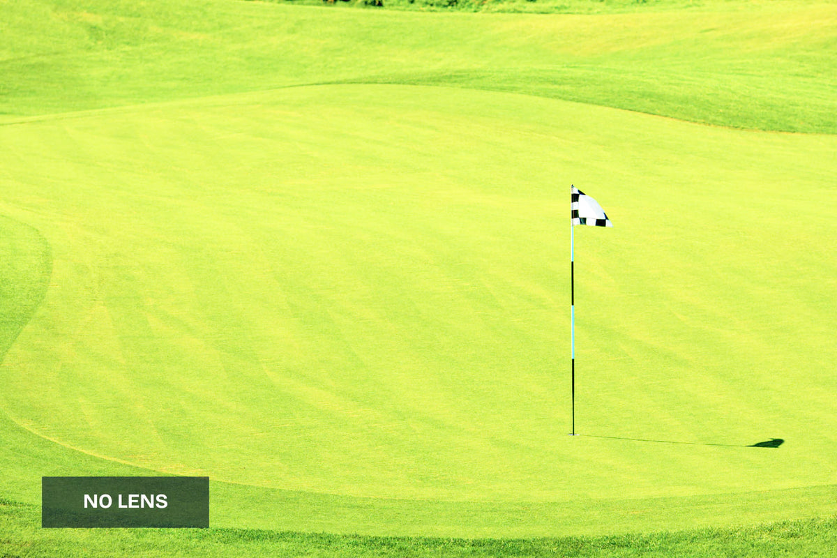 A bright green golf course putting green with a single flagstick and black-and-white flag near the hole, plus a dark label in the lower left that reads 'NO LENS'.