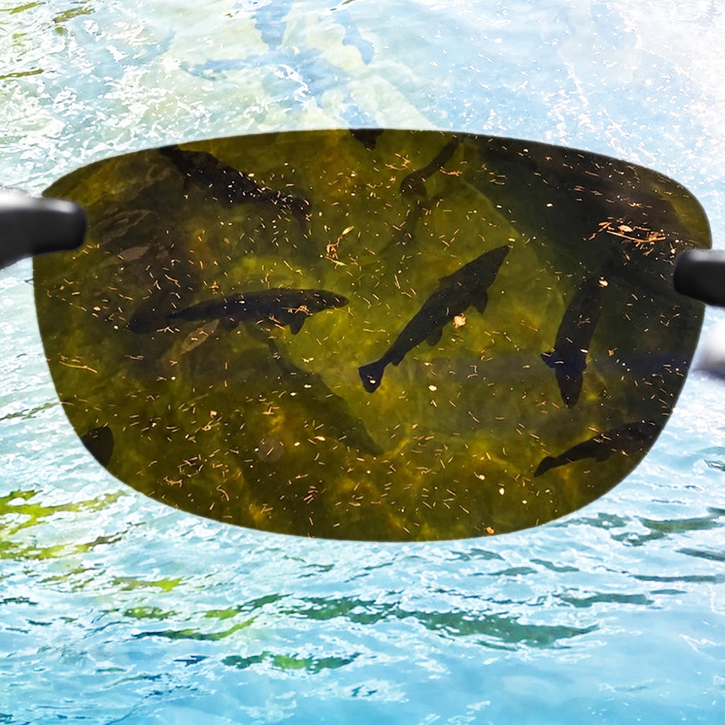Zenith Fishing Sunglasses
